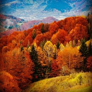 Meet your Posher, Max